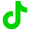 Tiktok Logo Icon